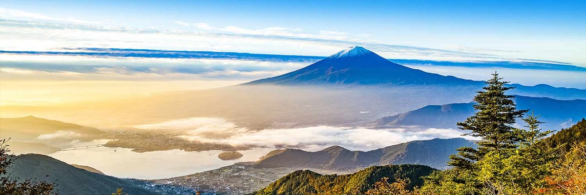 ANAメキシコシティ から日本